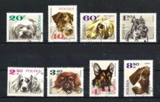 Pologne 1969 (chien26) série complète de 8 timbres oblitérés