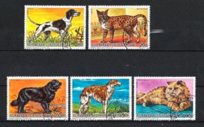 Centrafrique 1986 (chien28) série complète de 5 timbres oblitérés