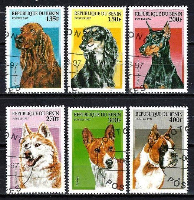 Bénin 1997 (chien30) série complète de 6 timbres oblitérés