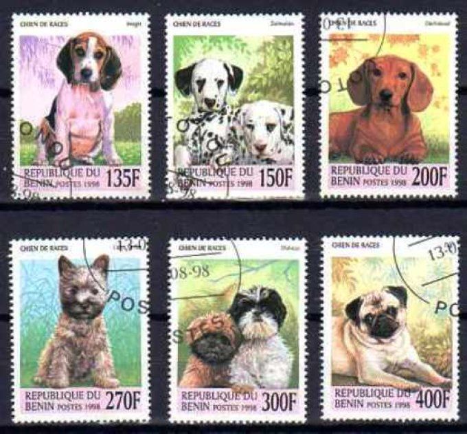 Bénin 1998 (chien4) série complète de 6 timbres oblitérés 