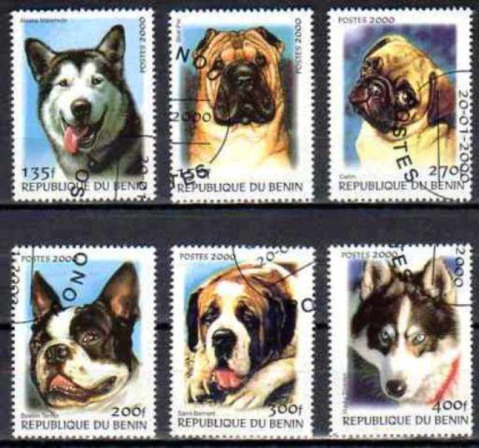 Bénin 2000 (chien5) série complète de 6 timbres oblitérés