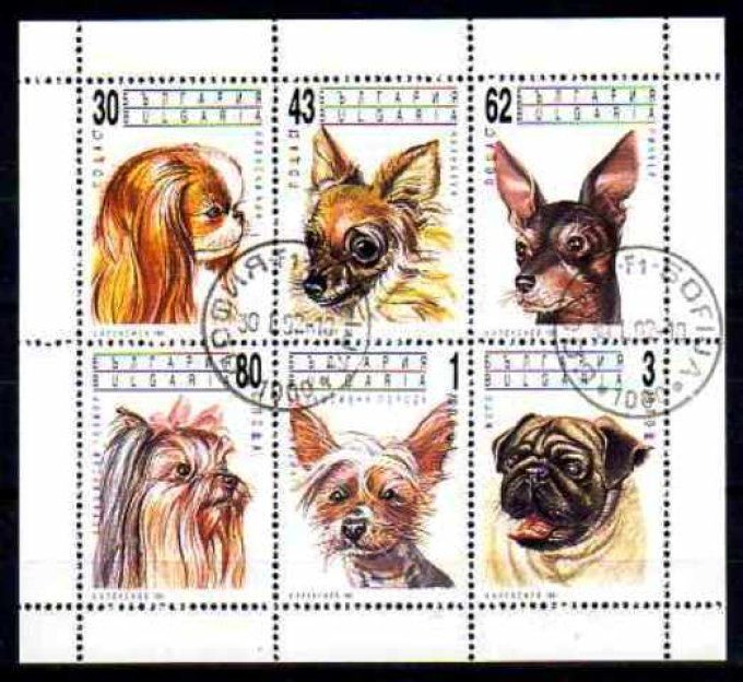 Bulgarie 1991 (chien7) série complète de 6 timbres oblitérés