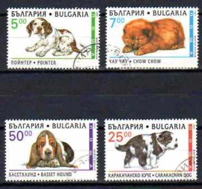 Bulgarie 1997 (chien8) série complète de 4 timbres oblitérés