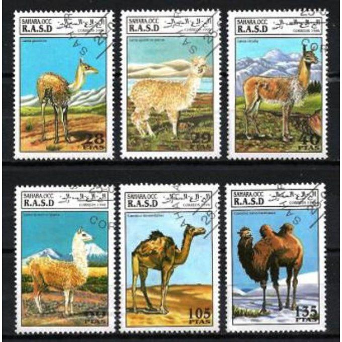 Sahara Occidental 1994 (103) série complète de 6 timbres oblitérés