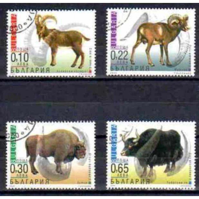 Bulgarie 2000 (61) série complète de 4 timbres oblitérés