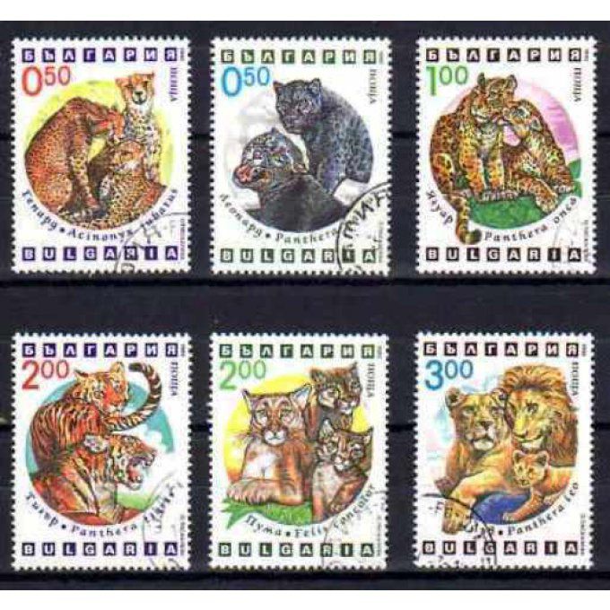 Bulgarie 1992 (71) série complète de 6 timbres oblitérés
