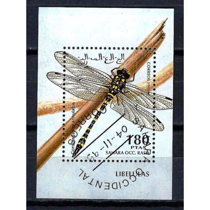 Sahara Occidental 1995 (91) bloc oblitéré