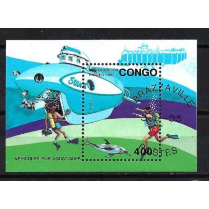 Congo 1993 (BA77) bloc oblitéré