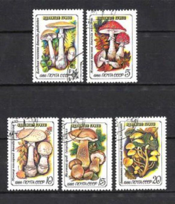 Russie URSS 1986 (CP38) série complète de 5 timbres oblitérés