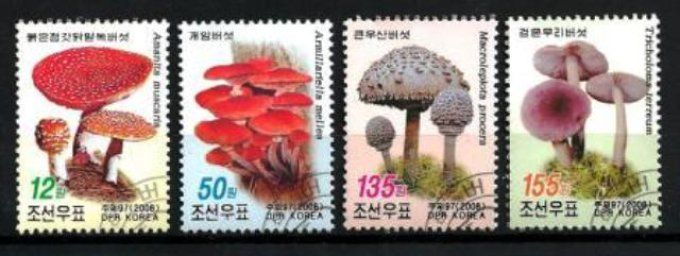 Corée du Nord 2008 (CP9) série complète de 4 timbres oblitérés