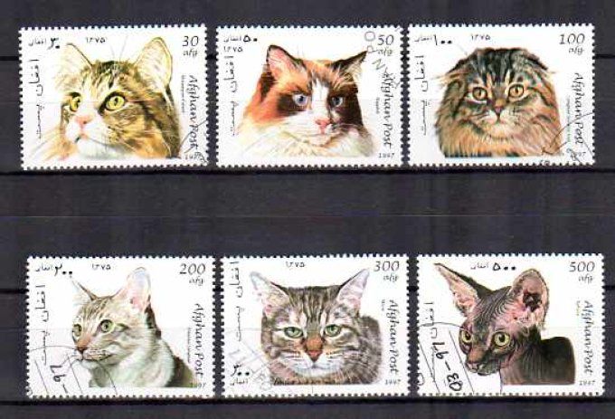 Afghanistan 1997 (chat10) série complète de 6 timbres oblitérés