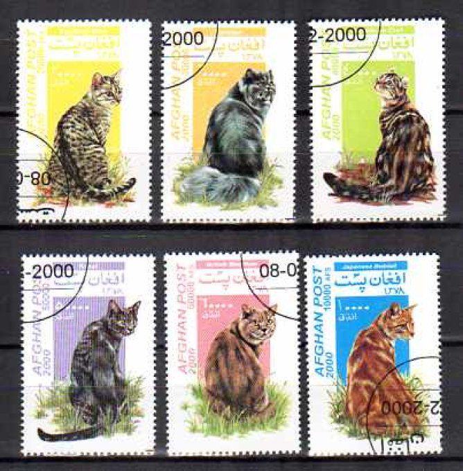 Afghanistan 2000 (chat11) série complète de 6 timbres oblitérés