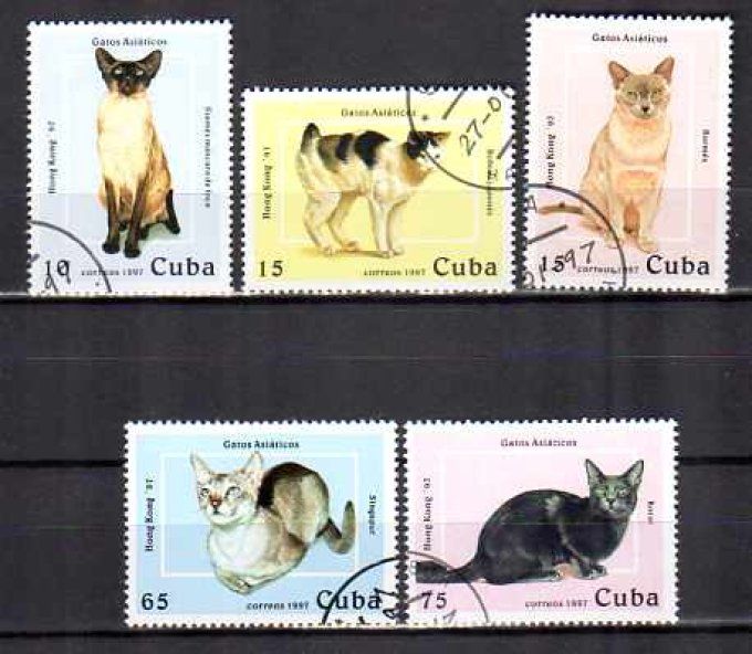 Cuba 1997 (chat13) série complète de 5 timbres oblitérés
