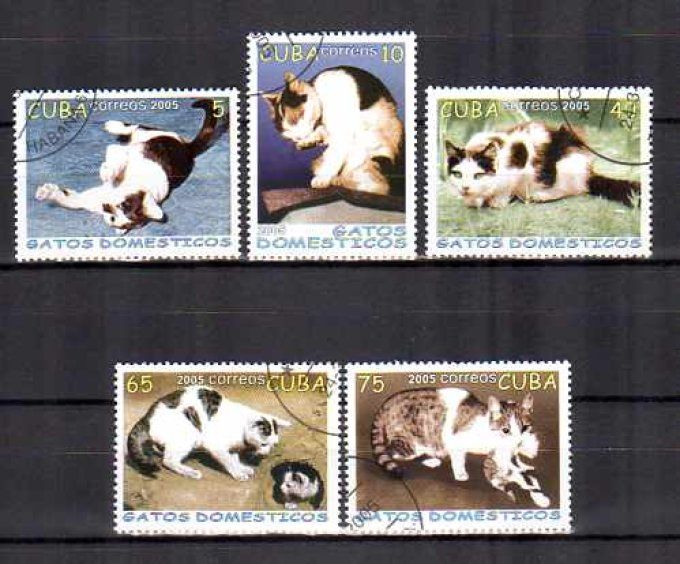 Cuba 2005 (chat14) série complète de 5 timbres oblitérés