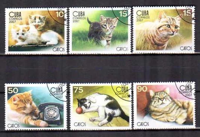 Cuba 2007 (chat15) série complète de 6 timbres oblitérés