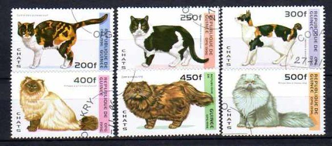 Guinée 1996 (chat1) série complète de 6 timbres oblitérés
