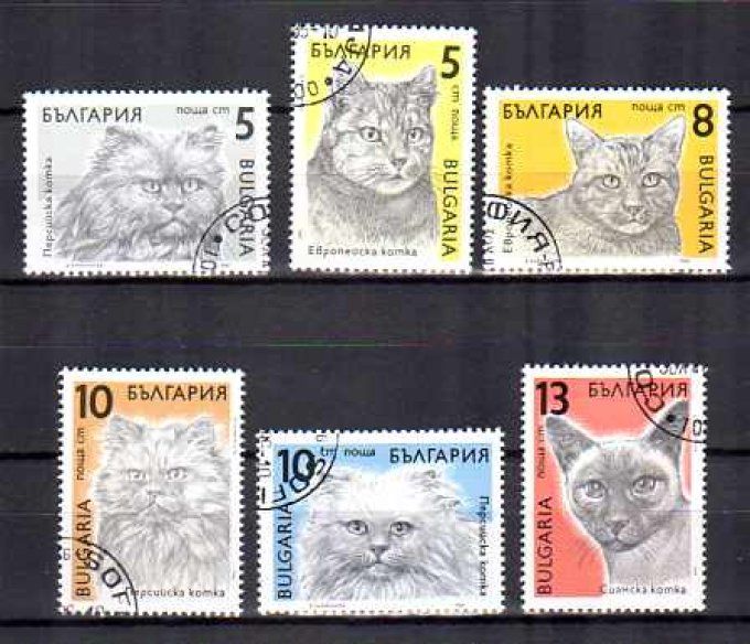 Bulgarie 1989 (chat24) série complète de 6 timbres oblitérés 