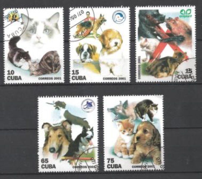 Cuba 2001 (chat25) série complète de 5 timbres oblitérés