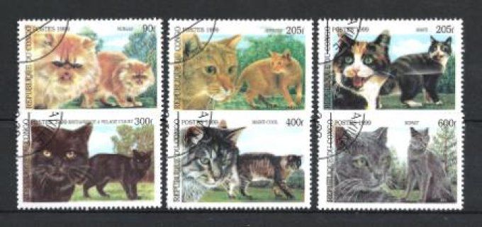 Congo 1999 (chat28) série complète de 6 timbres oblitérés