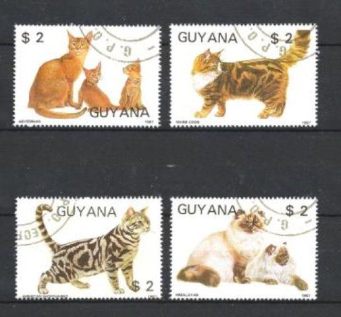 Guyana 1988 (chat29) série complète de 4 timbres oblitérés