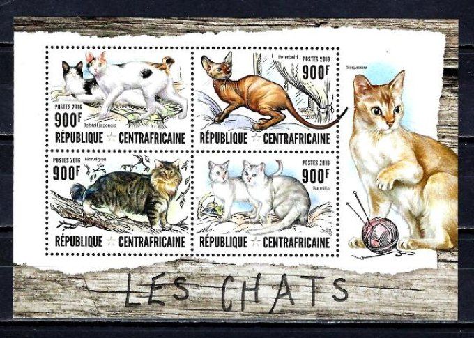 Centrafrique 2015 (chat45) série complète de 4 timbres oblitérés en feuillet