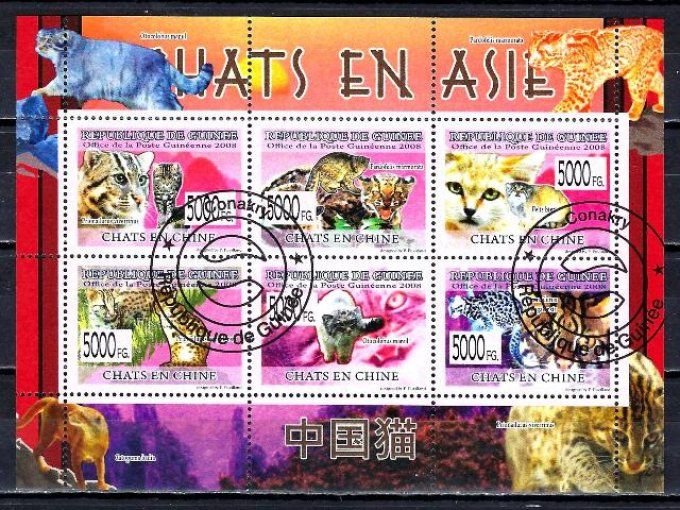 Guinée 2008 (chat48) série complète de 6 timbres oblitérés
