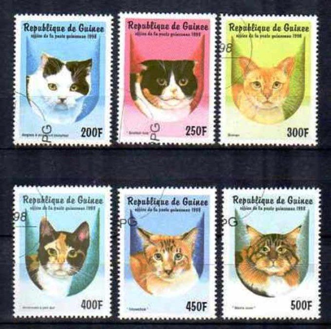 Guinée 1998 (chat65) série complète de 6 timbres oblitérés