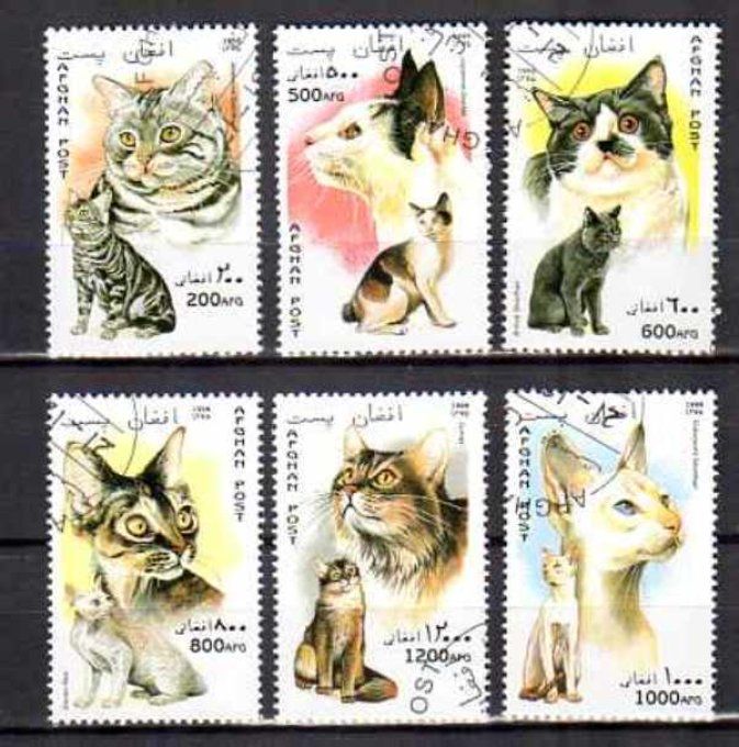Afghanistan 1996 (chat9) série complète de 6 timbres oblitérés
