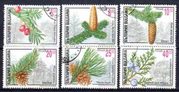 Bulgarie 1996 (FL18) série complète de 6 timbres oblitérés